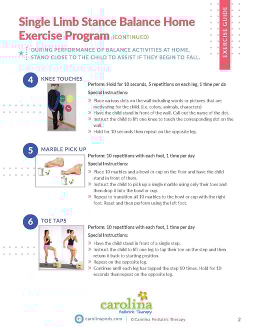 Single Limb Stance Balance